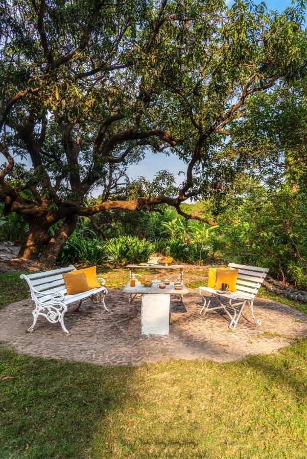 Saffronstays Chikoo Wadi- 3Bdr Pet-Friendly Villa With Pool In Boisar エクステリア 写真